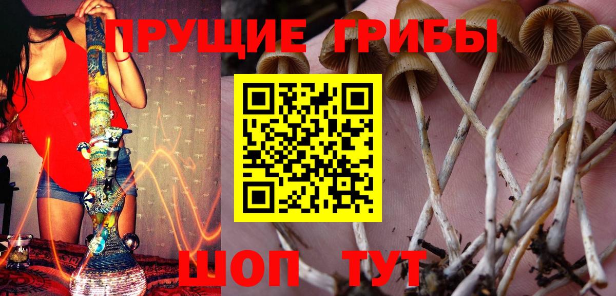 Саратов  Псилоцибиновые грибы мицелий  Вход с VPN 